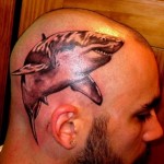 tatouage de requin sur le crane pour homme