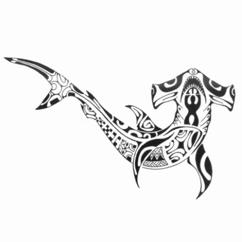 Modèle tatouage requin marteau polynesien