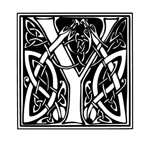 Modèle tatouage celtique lettre Y