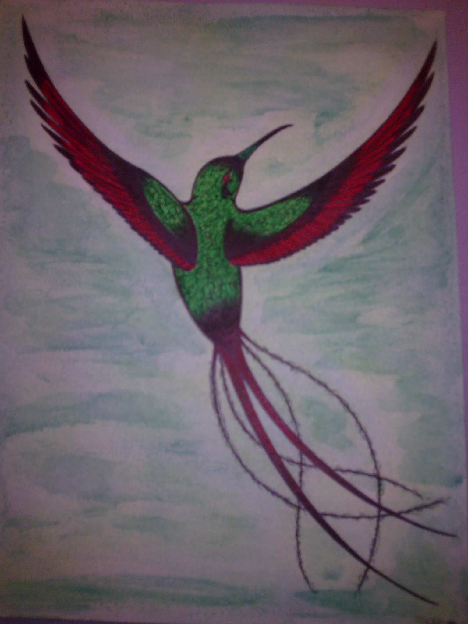 Tatouage dessin Gwada colibri couleur