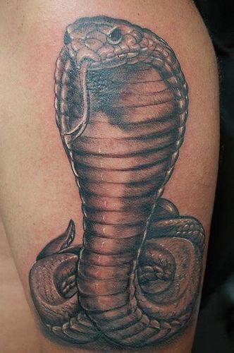 Modele de tatouage de serpent cobra royal réaliste