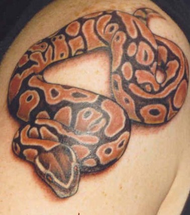 Modele de tatouage de serpent réaliste
