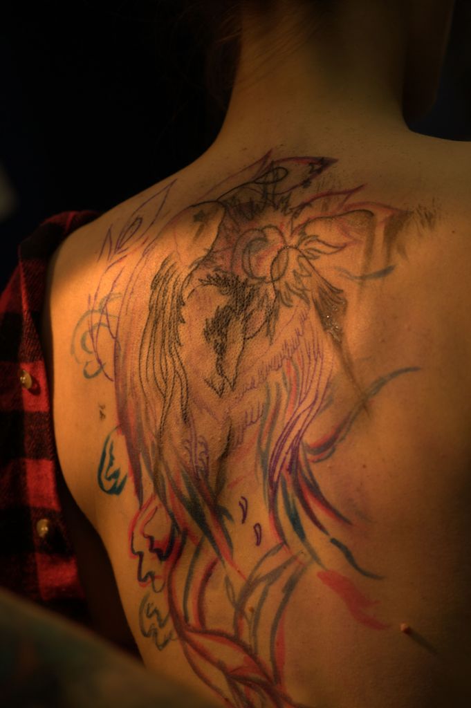 tatouage de phoenix en phase de tracés