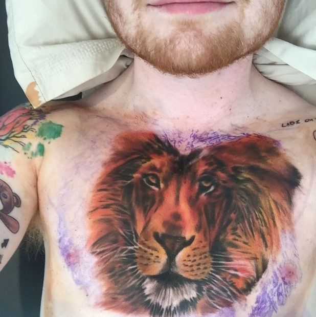 Tatouage Ed Sheeran lion sur le torse
