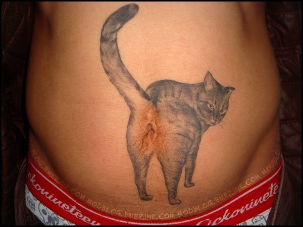 tatouage insolite de chat sur le nombril